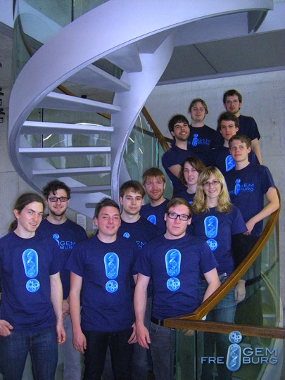 team-2012